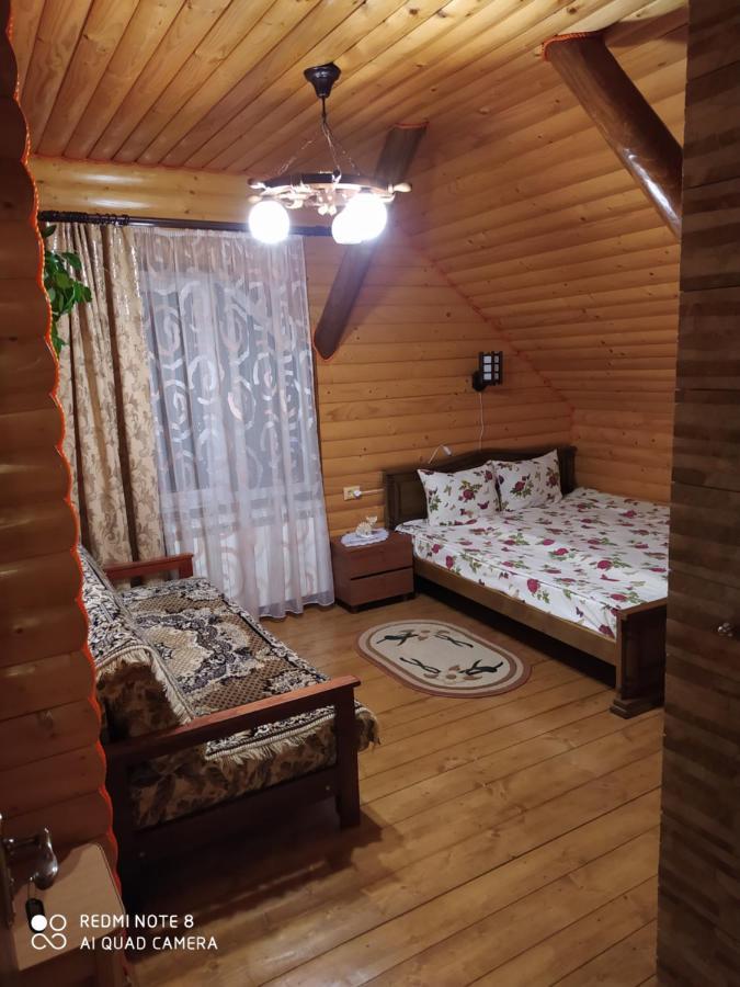 Sadyba Gostynniy Dvir 艾兹基 外观 照片